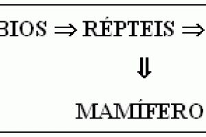 Quem veio primeiros: O Ovo ou a Galinha?