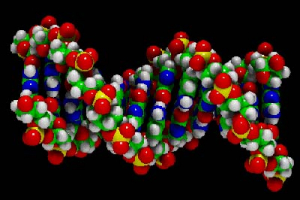 Aberrações Cromosômicas