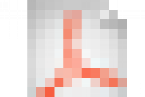 A Mulher Idosa Trabalhadora na Informalidade: Uma Questão de Opção ou Sobrevivência