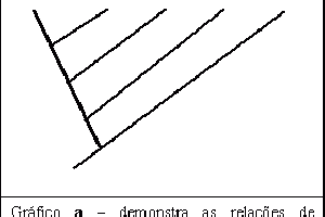 Cladística: Modelos Matemáticos que Explicam Aspectos Filogenêticos (sobre evolução)