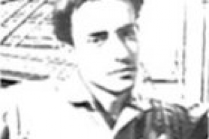 Joaquim Pedro de Andrade