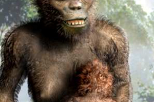 Pré-História: A Origem do Homem